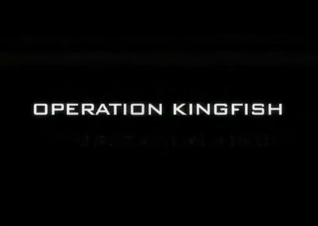 Call of Duty:Operation Kingfish